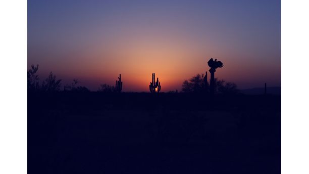 Desert Sunset