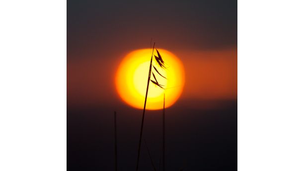 Eagle Rock Summer Sunset