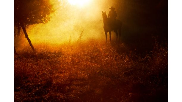 Cowboy at Dusk