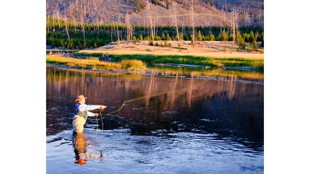 Fly Fishing in Yellowstone