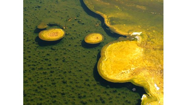 yellowstone pools of acid