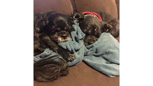 Snuggling on the heated blanket