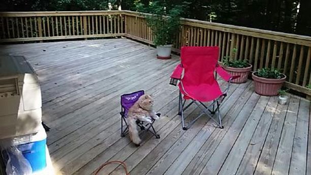 Lounging on the porch