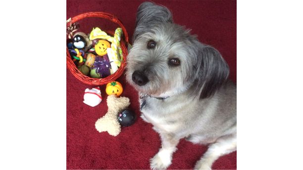 Tito and His Toy Basket