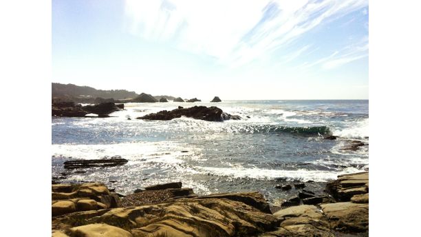 Point Lobos, Ca