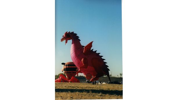 Pink Dragon Hot Air Balloon
