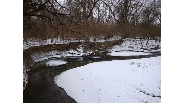 Winter scene