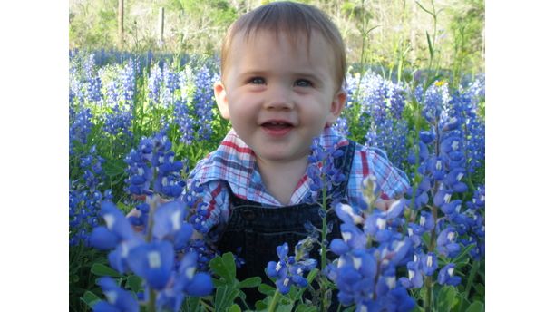 Bluebonnet Love