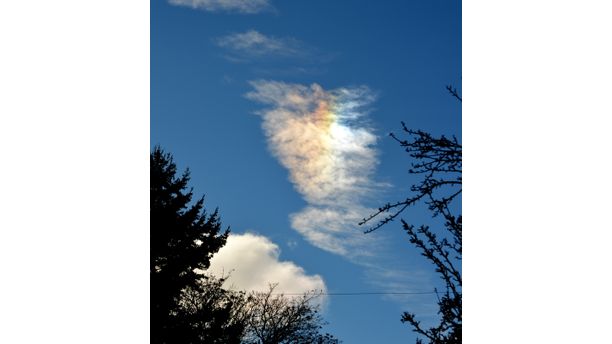 Angel rainbow cloud