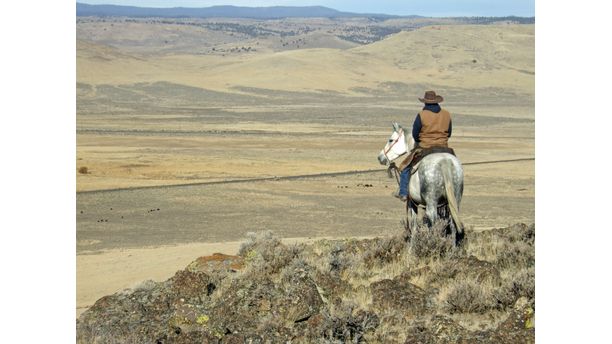 On the Ridge