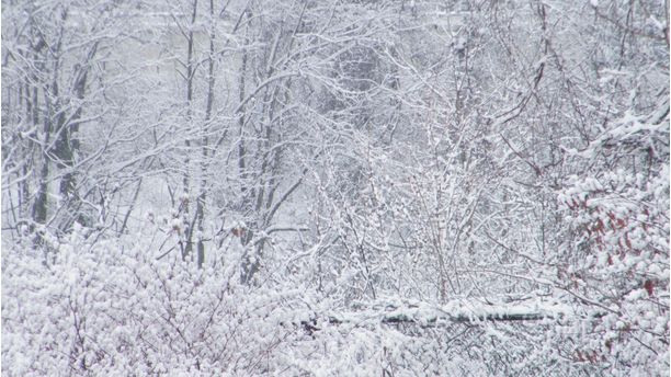 first snowfall after x-mas