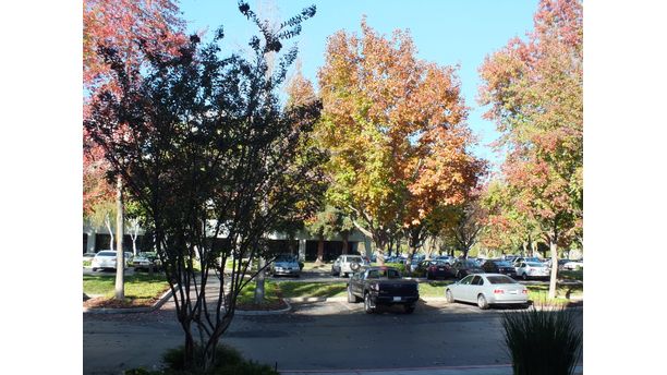 Sacramento in The Fall