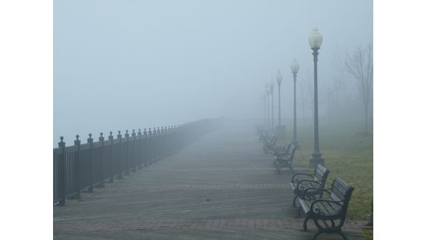 Foggy at the park today.