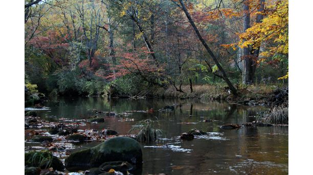 Nice Fall Day, Davison River NC.