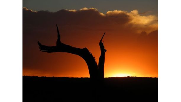 Sunset in Arches National Park