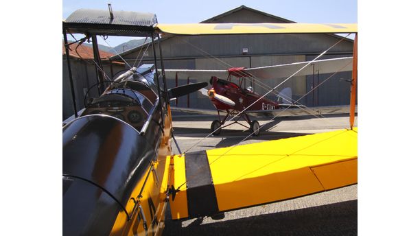 One Tiger Moth to another