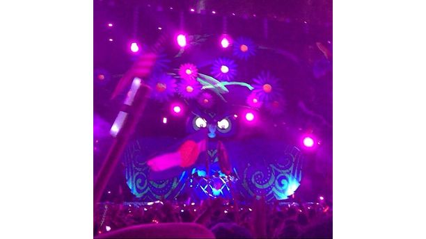 EDC Calvin Harris