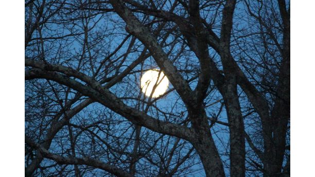 Early Morning Moon