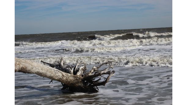 Rough surf in off season