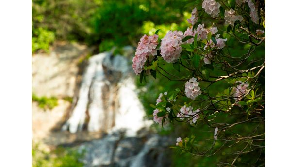 Chattooga Spring